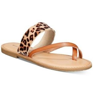 Women's Rock and Candy Bearly Falt Sandals,Leopard